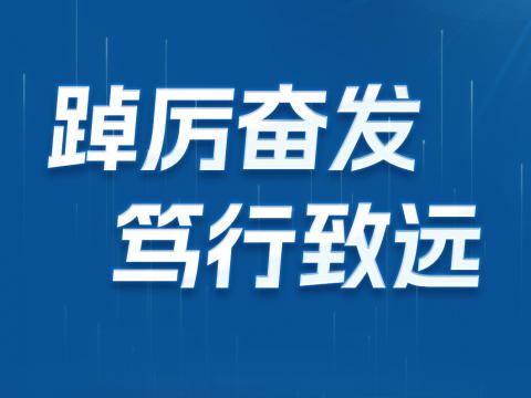 一图读懂彩神电气2024年半年报